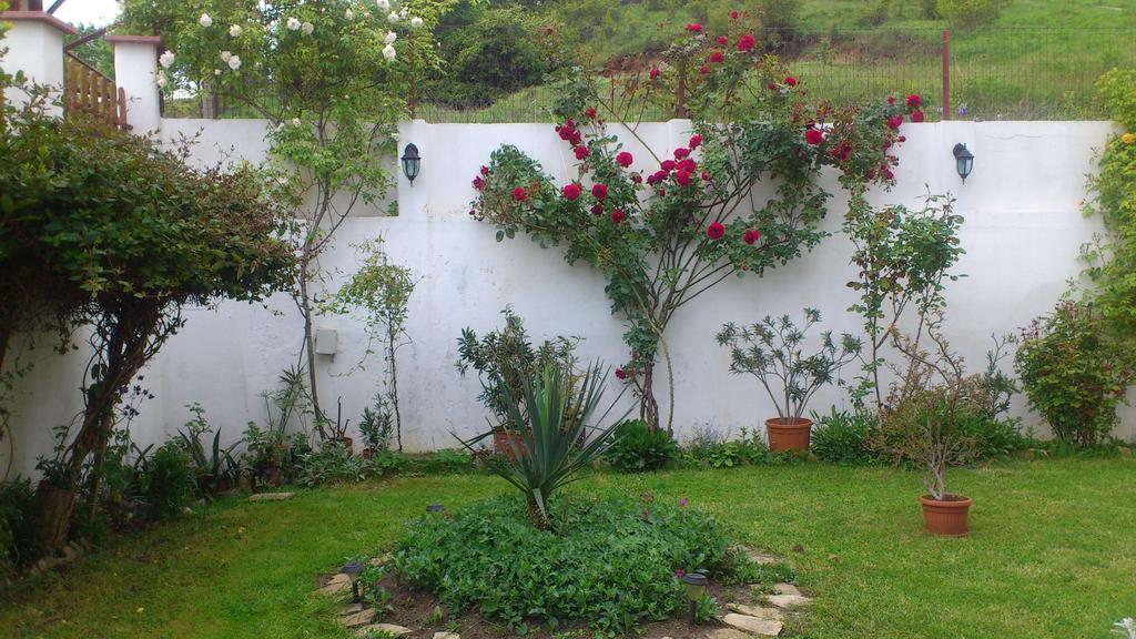 Petrovi Guest House Obzor Exterior photo